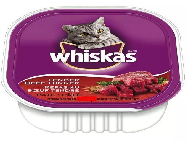 Mokré krmivo pre prémiové mačky: hodnotenie najlepšieho tekutého krmiva pre mačiatka, dobré mäkké mäso 11830_11