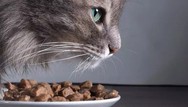 Mokre hrane za premium mačke: rejting od najboljih tečne hrane za mačiće, dobra meke mačje hrane