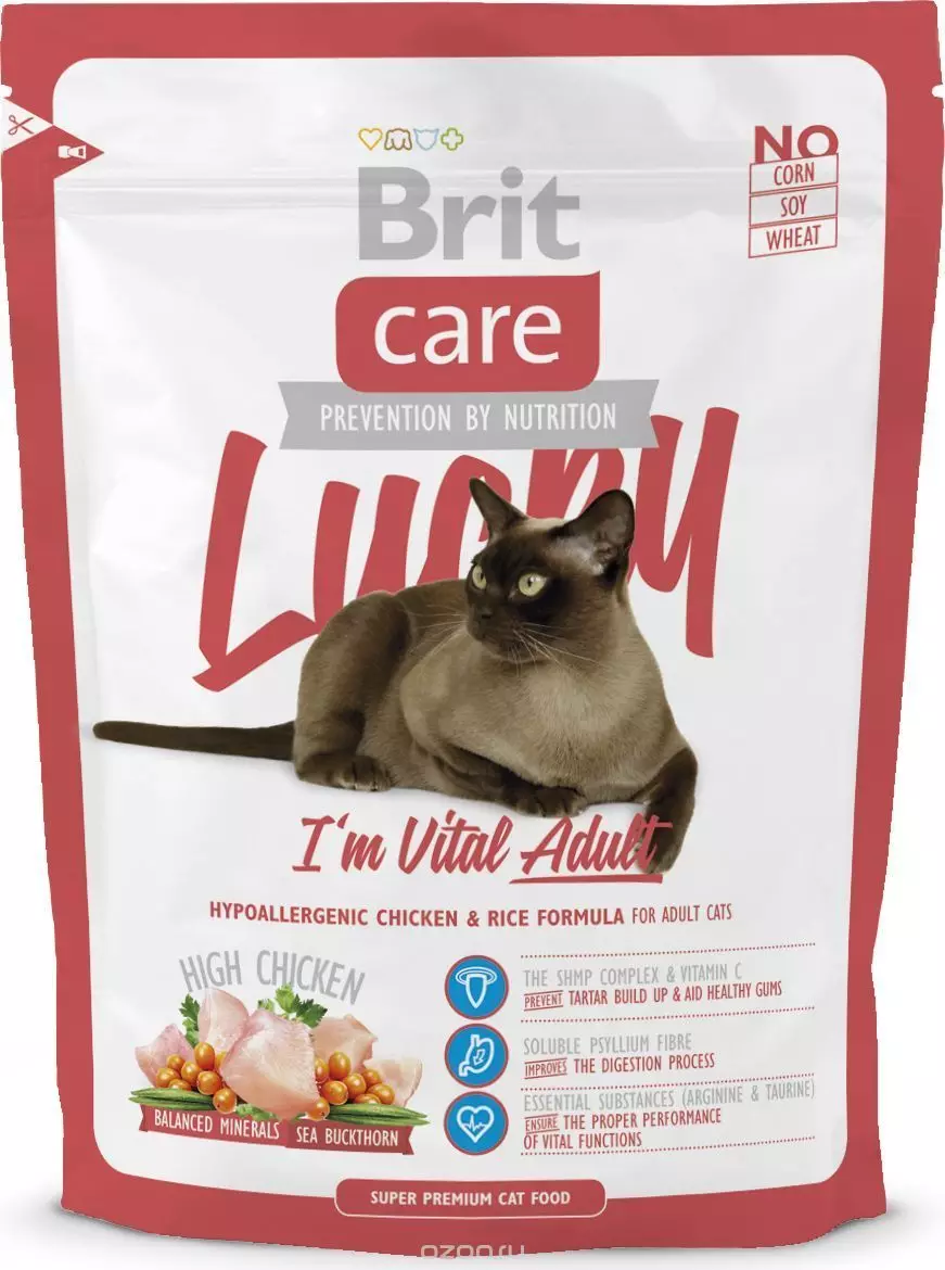 Våt fôr for premium katter: Vurdering av den beste flytende fôr til kattunger, god myk feline mat 11830_32