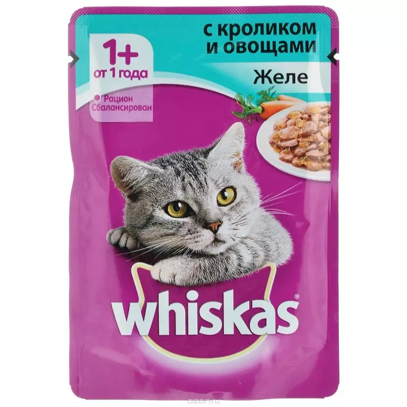 Wet feed for premium cats: rating of the best liquid feed for kittens, good soft feline food 11830_35