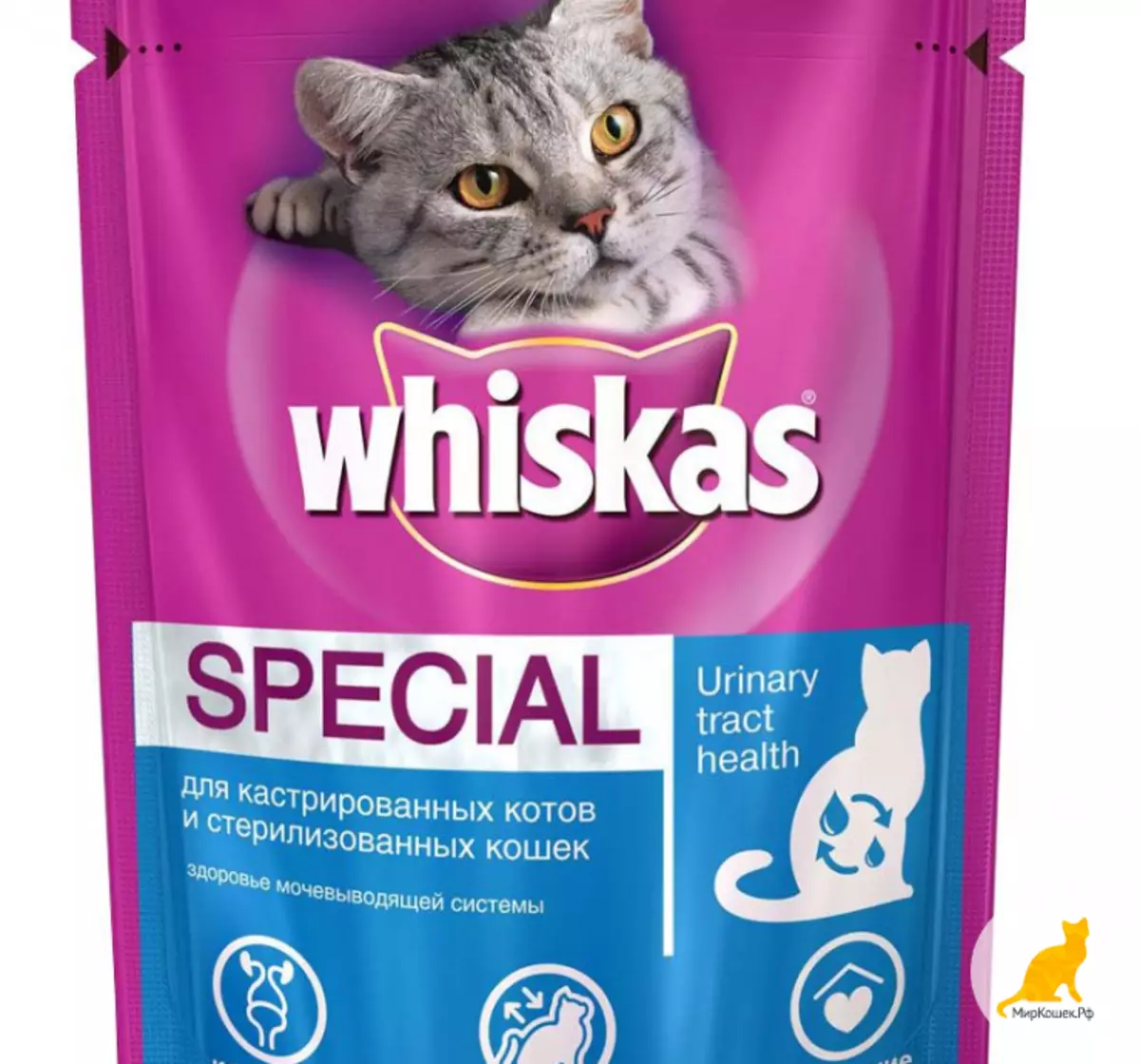 Panggang udan kanggo kucing premium: Rating saka Cairan paling apik kanggo kucing, panganan feline alus 11830_37