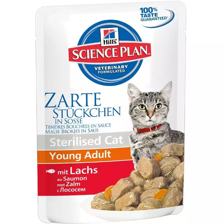 Мокра храна за котки премиум: Оценка от най-добрите течното захранване за котенца, добра мека котешка храна 11830_45
