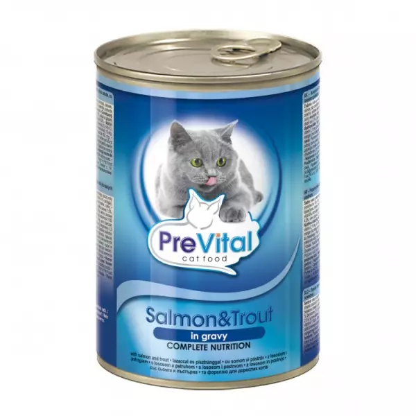 სველი საკვების პრემიუმ კატები: საუკეთესო თხევადი საკვების რეიტინგი კნუტებისთვის, კარგი რბილი ფილიალის საკვები 11830_9