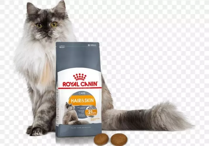 Panganan kucing: Cara milih panganan kucing? Pabrikan rating 11831_5