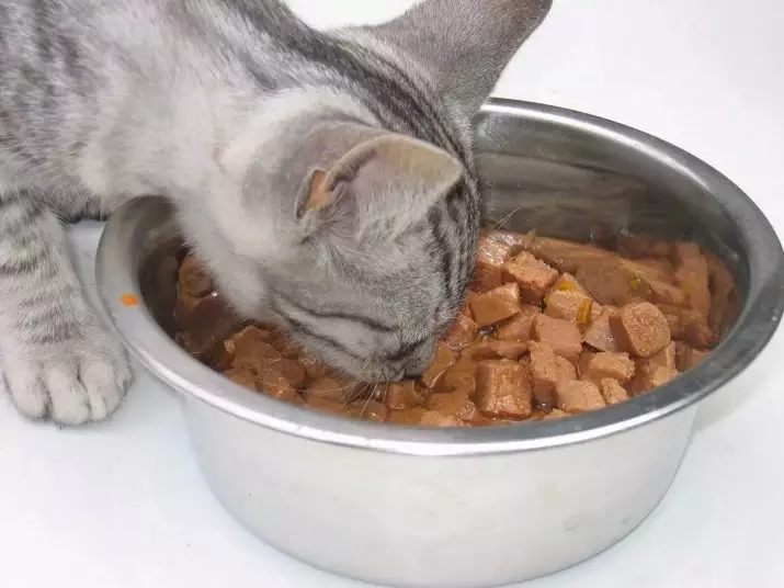Mokré alebo suché potraviny pre mačky: Čo je lepšie na krmivo? Výhody a nevýhody krmiva, ich zloženie 11832_16