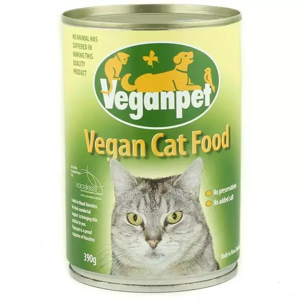 Ushqime vegjetarian dhe vegan për macet: Këshilla për zgjedhjen, përfitimin dhe dëmtimin, gabimet e zakonshme kur ushqehen. Cili është dallimi midis vegjerit dhe veganit? 11836_10