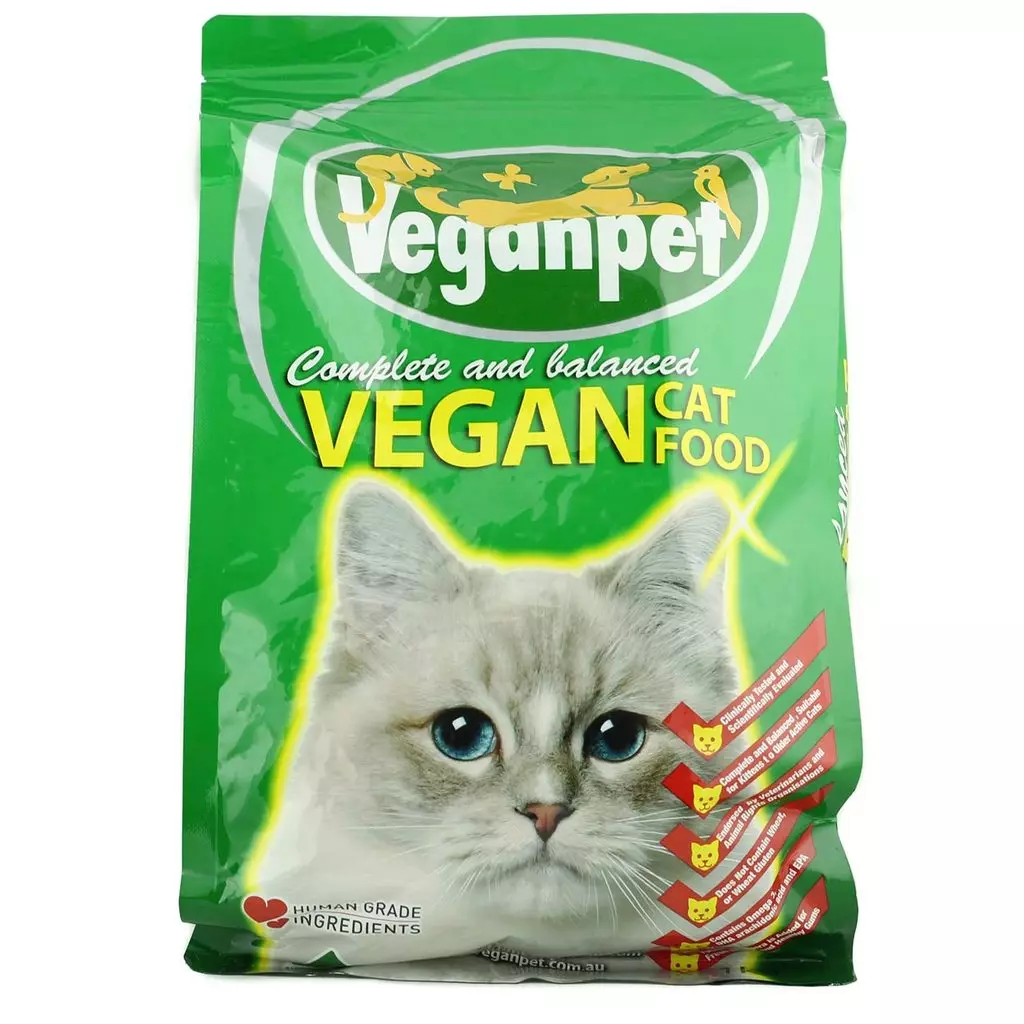 Ushqime vegjetarian dhe vegan për macet: Këshilla për zgjedhjen, përfitimin dhe dëmtimin, gabimet e zakonshme kur ushqehen. Cili është dallimi midis vegjerit dhe veganit? 11836_6