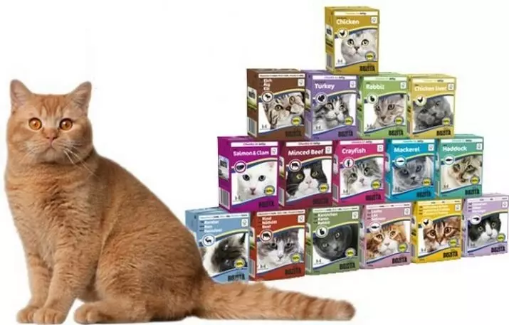 Super Premium Cat Feed: Wurdearring fan 'e bêste fabrikanten, list en oersjoch fan' e meast elite Forage-merken foar katten, beoordelingen 11837_19