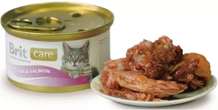 Super Premium Cat Feed: Chiyero chevakanakisa vagadziri, runyorwa uye rondedzero yemhando yepamusoro yehunhu bhizimusi dzekitsi, varidzi vevaridzi 11837_5