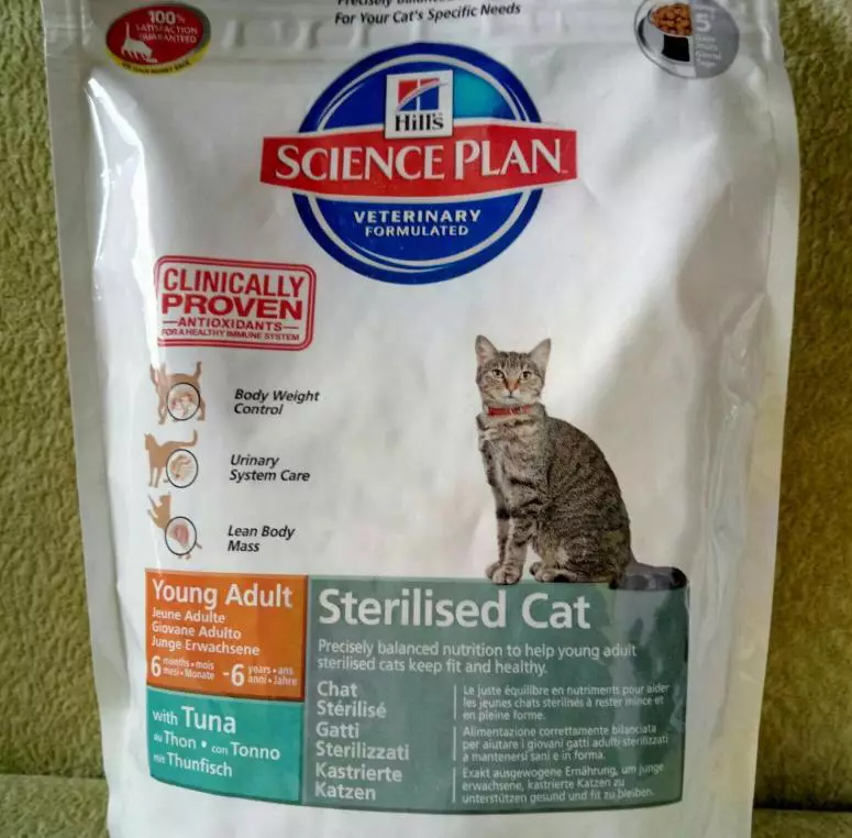 Ipoallergenico Cibo secco per gatti: quale feed non causa allergie dai gatti? Cause di allergia al cibo 11840_3