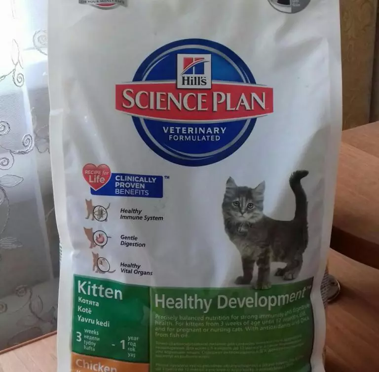 Υποαλλεργικό ξηρό φαγητό για γάτες: Τι τροφοδοσία δεν προκαλεί αλλεργίες από τις γάτες; Αιτίες αλλεργίας στα τρόφιμα 11840_4