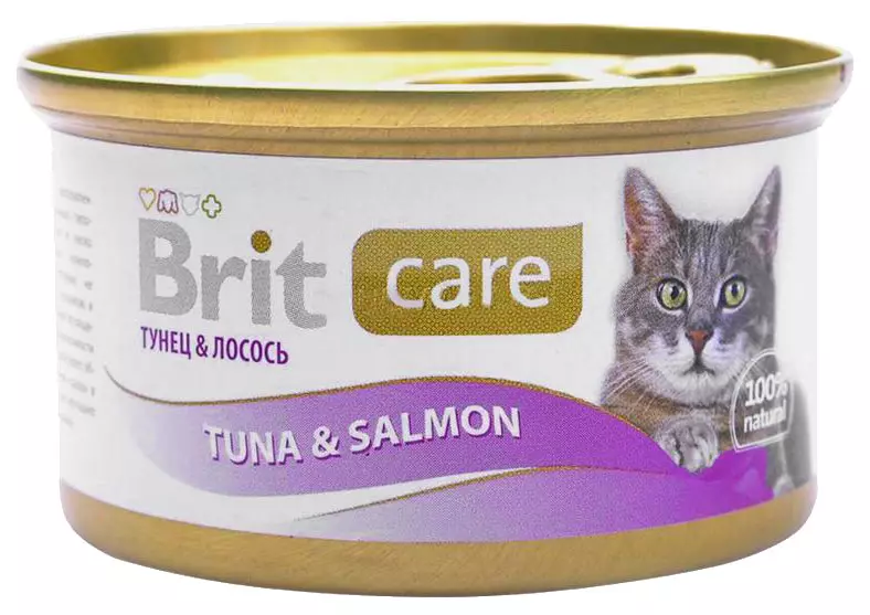 猫のための習熟された食べ物：スーパープレミアムクラス、利益と害。最高の乾電治療メッセンジャーフィードの評価 11844_6