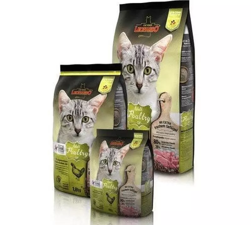Behandle mat for katter: Super Premium klasse, fordeler og skade. Vurdering av den beste DryRapeutic Messenger-feed 11844_7