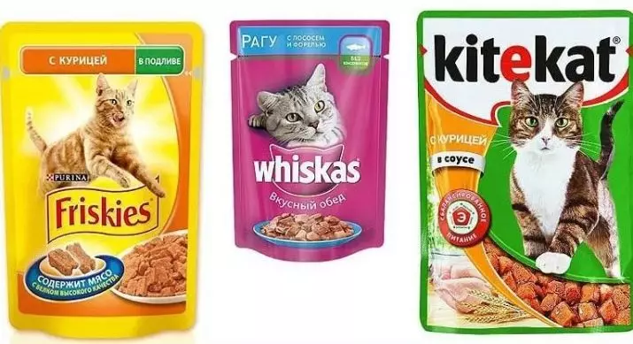 بلی کے بچے کے لئے کھانا (31 فوٹو): چھوٹے بلی کے بچے کے لئے اچھے کھانے کا انتخاب کیسے کریں؟ بہترین مینوفیکچررز کی درجہ بندی جانوروں کی جائزہ 11852_13