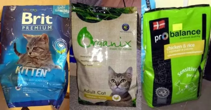 Alimentos para gatitos (31 fotos): Como elixir unha boa comida para pequenos gatitos? Avaliación dos mellores fabricantes. Comentarios veterinarios 11852_14