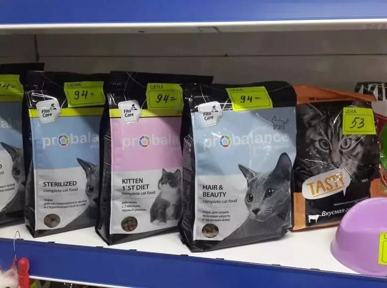 Toit kassipoegadele (31 fotot): Kuidas valida väikeste kassipoegade hea toit? Parimate tootjate hinnang. Veterinaariarvamused 11852_19