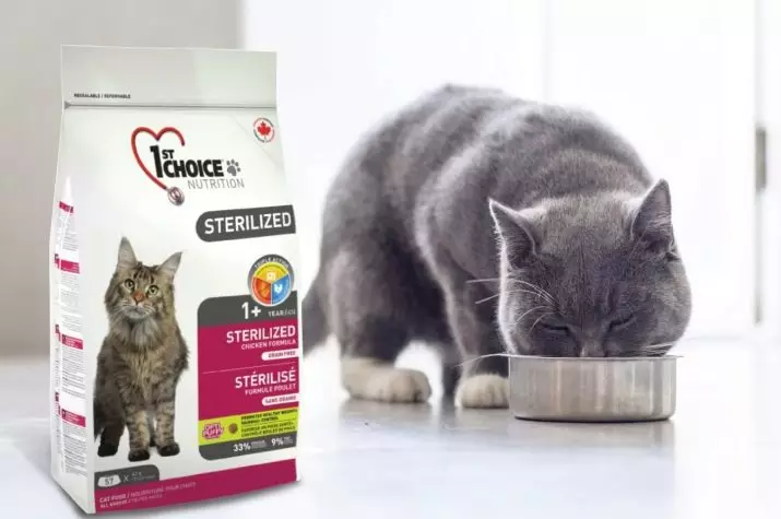 Храна за стерилизирани котки: Оценка от най-добрите марки за кастрирани котки и котенца, коментари и съвети на ветеринарните лекари. Как да се хранят? 11853_15