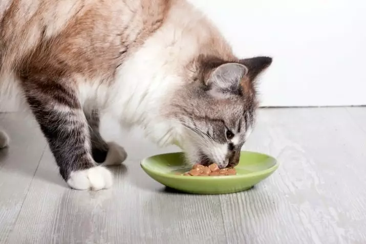 नसबंदी बिल्लियों के लिए भोजन: न्यूटर्ड बिल्लियों और बिल्ली के बच्चे, समीक्षाओं और पशु चिकित्सकों की युक्तियों के लिए सर्वश्रेष्ठ ब्रांडों की रेटिंग। कैसे खिलाना है? 11853_3