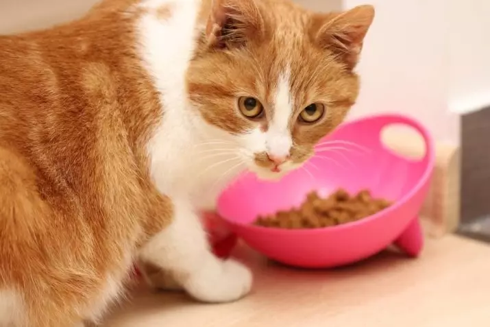 नसबंदी बिल्लियों के लिए भोजन: न्यूटर्ड बिल्लियों और बिल्ली के बच्चे, समीक्षाओं और पशु चिकित्सकों की युक्तियों के लिए सर्वश्रेष्ठ ब्रांडों की रेटिंग। कैसे खिलाना है? 11853_4