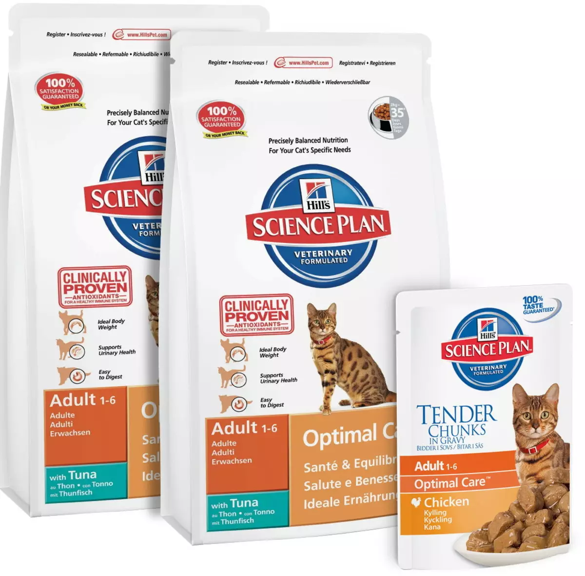 Kako naučiti mačku na suhom krmom? Kako prevesti mačka s prirodnim hrane i mokre hrane na suho? Uobičajene pogreške 11854_8