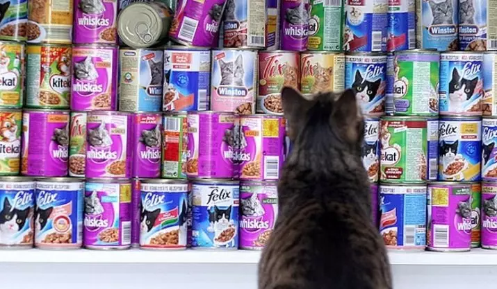 What makes food for cats? Analysis of feline feed composition. What is Taurine? Why do you need ash and chicken? 11856_27