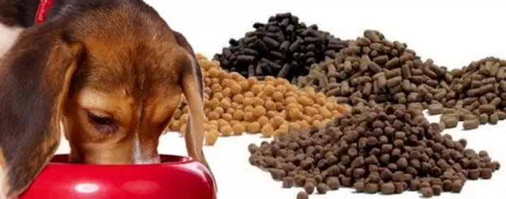 Τι κάνει τα τρόφιμα για γάτες; Ανάλυση της σύνθεσης τροφοδοσίας αιλουροειδών. Τι είναι η ταυρίνη; Γιατί χρειάζεστε τέφρα και κοτόπουλο; 11856_5