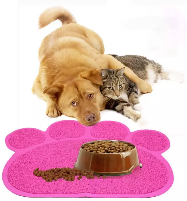 Τι κάνει τα τρόφιμα για γάτες; Ανάλυση της σύνθεσης τροφοδοσίας αιλουροειδών. Τι είναι η ταυρίνη; Γιατί χρειάζεστε τέφρα και κοτόπουλο; 11856_7