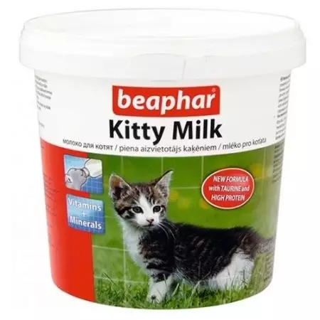 Is het mogelijk om melk te katten? Waarom kan geen katten en kattenmelk krijgen na sterilisatie en castreerders? Is het mogelijk Droge melkkittens en volwassenen? Waarom houden de katten van melk? 11859_13