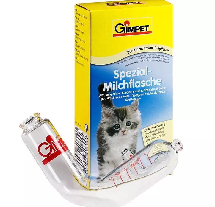 ¿É posible que os gatos de leite? Por que non se pode dar gatos e gatos leite despois da esterilización e os neutros? ¿É posible kittens de leite seco e adultos? Por que os gatos adoran o leite? 11859_14