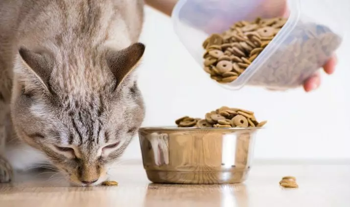 Πόσο είναι το ξηρό φαγητό για να δώσει μια γάτα; Πόσα γραμμάρια ανά ημέρα πρέπει να τρώνε μια γάτα; Καθημερινές τιμές διατροφής στο τραπέζι 11860_2