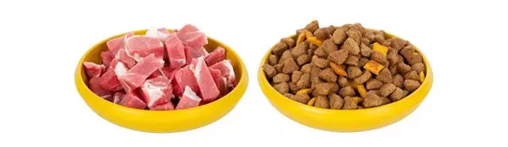 Berapa banyak makanan kering untuk diberikan kucing? Berapa banyak gram per hari perlu makan kucing? Tingkat makan harian di atas meja 11860_6
