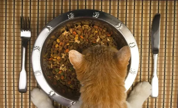 Հնարավոր է կատուն կերակրել միայն չոր կերակրումը: Ինչ անել, եթե կատուն ուտում է միայն չոր սնունդ: Նորմալ է: Կարծիք անասնաբույժ 11867_3