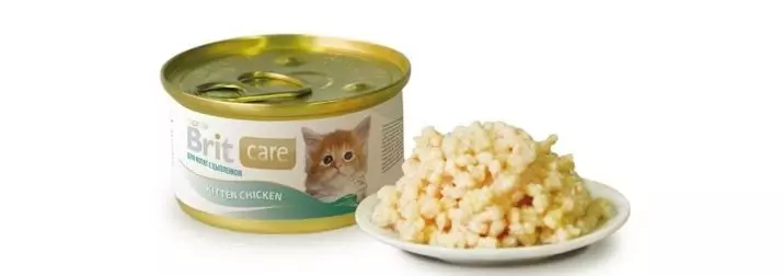 É possível alimentar o gatinho apenas alimentação seca? Prós e contras de alimentar alimentos secos. É possível dar a ele uma comida molhada? 11874_10