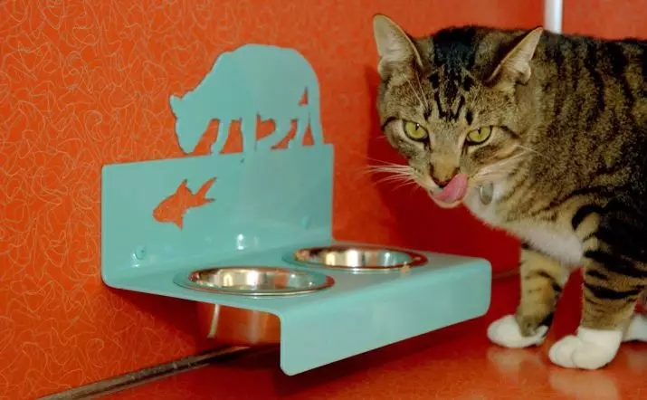 Cosa nutrire il gatto? Come nutrire un gatto? Perché mangia patate crude? I gatti mangiano il porridge? Cosa non può essere dato gatti? Suggerimenti di veterinars. 11876_13