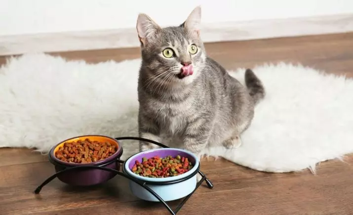 Ko barot ar kaķi? Kā barot kaķi? Kāpēc viņš ēd neapstrādātas kartupeļus? Vai kaķi ēd putru? Ko nevar piešķirt kaķiem? Veterināru padomi 11876_2