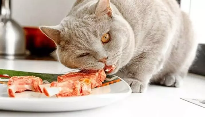 मांजरीला काय खावे? मांजर कसे खायला? तो कच्चा बटाटे का खातो? मांजरी पोरीज खातात का? मांजरींना काय दिले जाऊ शकत नाही? Veterinars च्या टिपा 11876_55