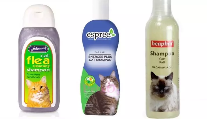 CAT šampón: antialergénna kompozícia pre dlhodobé mačiatka. Ako umývať mačku, ak nie je zvláštne? Ako často môžem použiť mačací šampón? 11886_11