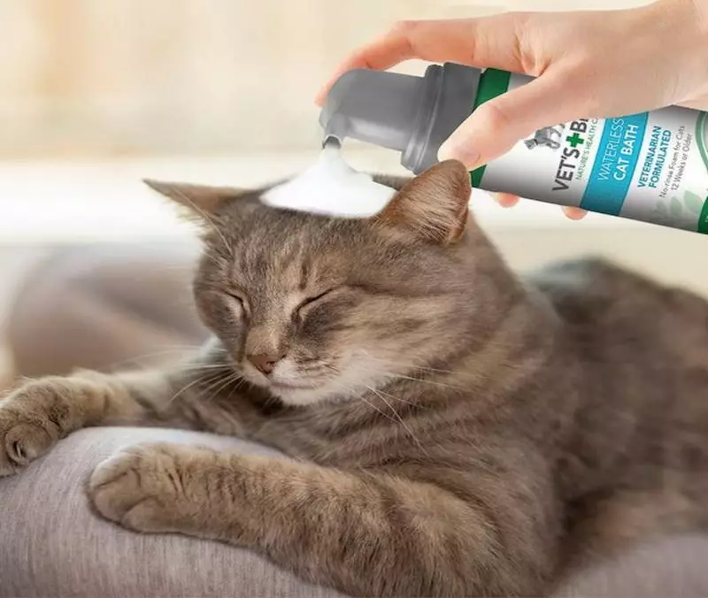 القط الشامبو: تكوين antiallergenic للقطط طويل الشعر. كيفية غسل القط، وإذا لم يكن هناك خاص؟ كم مرة يمكنني استخدام الشامبو القطط؟ 11886_24