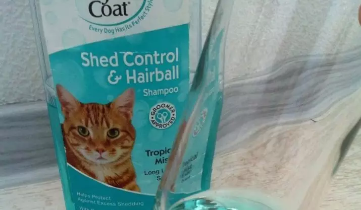 Cat Shampoo: Antial Lergenic Samestelling vir langharige katjies. Hoe om die kat te was, as daar geen spesiale is nie? Hoe gereeld kan ek 'n Feline Shampoo gebruik? 11886_26