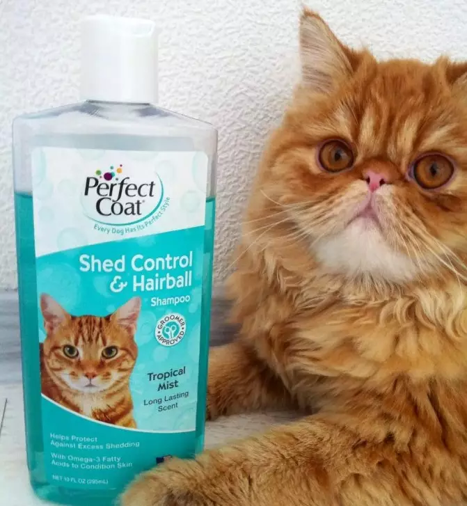 Cat Shampoo: Antial Lergenic Samestelling vir langharige katjies. Hoe om die kat te was, as daar geen spesiale is nie? Hoe gereeld kan ek 'n Feline Shampoo gebruik? 11886_28