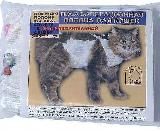 Cum să legați o backpurture pisică? Cum să-l purtați după operație? Cum să legați după sterilizare? Instrucțiuni și scheme 11888_8