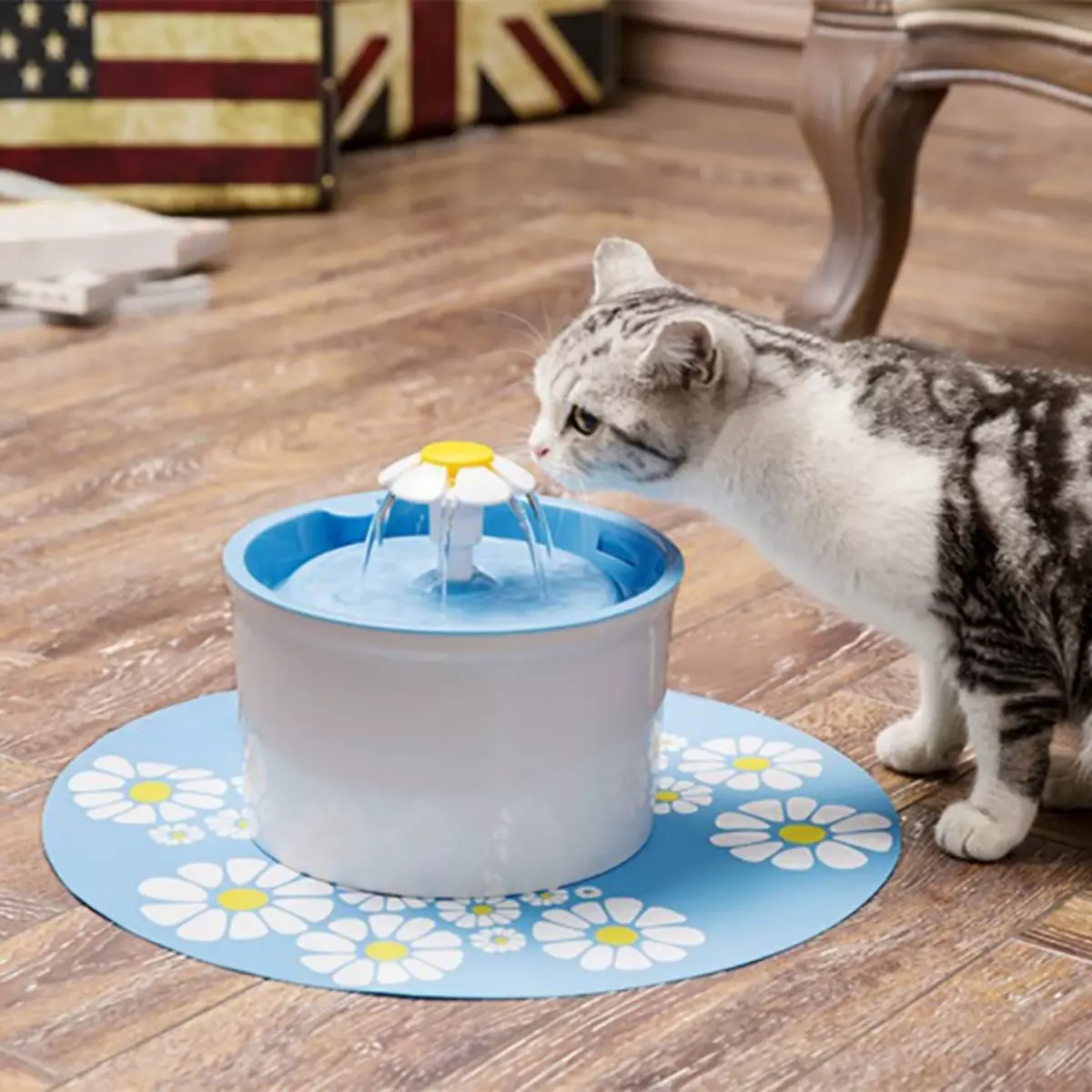Муур морьтон: мууранд зориулсан усан оргилуурыг автоматаар уух. Зөгжсөн зулзага нь аяга эсвэл autopoker-ээс хэрхэн уух вэ? 11892_22
