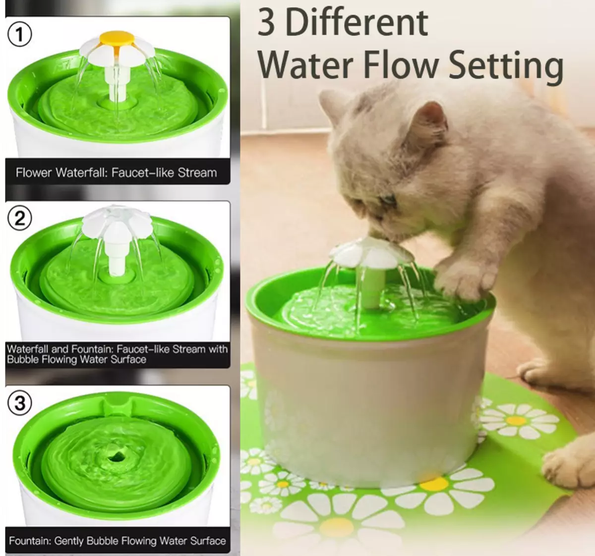 고양이 라이더 : 고양이를위한 자동 마시는 분수. 그릇이나 자동 피커에서 새끼 고양이 마시는 물을 가르치는 방법? 11892_29