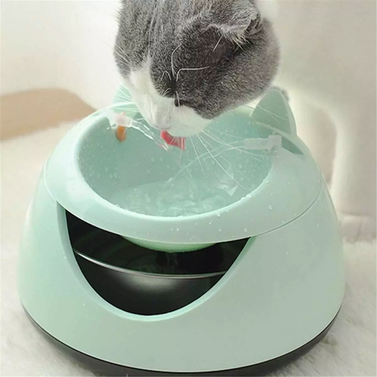 Rider Cat: Automatyczna fontanna picia dla kota. Jak nauczyć wodę pitną kotek z miski lub autopokera? 11892_34