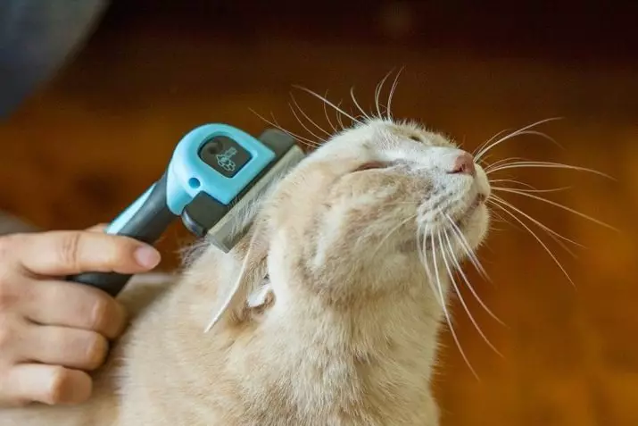 Furminatorer til katte (44 billeder): Hvad er det og hvordan man bruger? Fordele før pojo-kraperichka og kommercielle, ejerskabsanmeldelser 11895_4