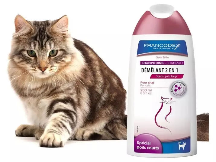 Czy można umyć kota w zwykłym szamponie? Dlaczego nie może umyć kota z ludzkim szamponem dla dorosłych? Czy można kąpać kotek do agenta dla dzieci? 11899_13