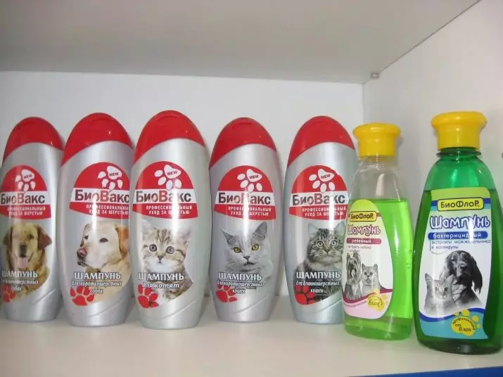 Czy można umyć kota w zwykłym szamponie? Dlaczego nie może umyć kota z ludzkim szamponem dla dorosłych? Czy można kąpać kotek do agenta dla dzieci? 11899_14