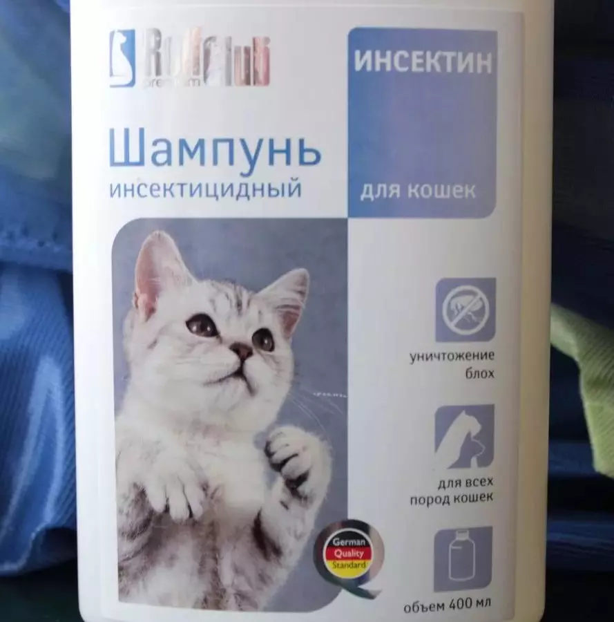 Czy można umyć kota w zwykłym szamponie? Dlaczego nie może umyć kota z ludzkim szamponem dla dorosłych? Czy można kąpać kotek do agenta dla dzieci? 11899_15