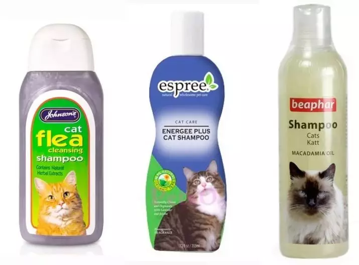 Czy można umyć kota w zwykłym szamponie? Dlaczego nie może umyć kota z ludzkim szamponem dla dorosłych? Czy można kąpać kotek do agenta dla dzieci? 11899_9
