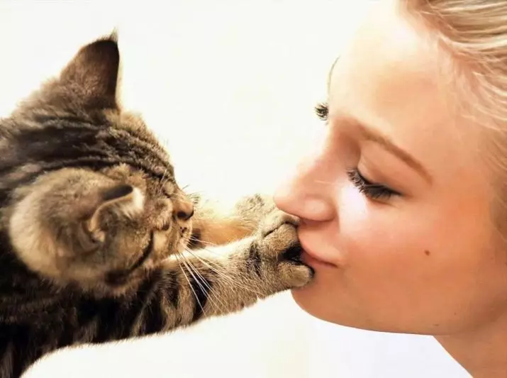Érdekes tények a macskákról: Csodálatos, szokatlan és vicces tények az otthoni macskákról 11920_26